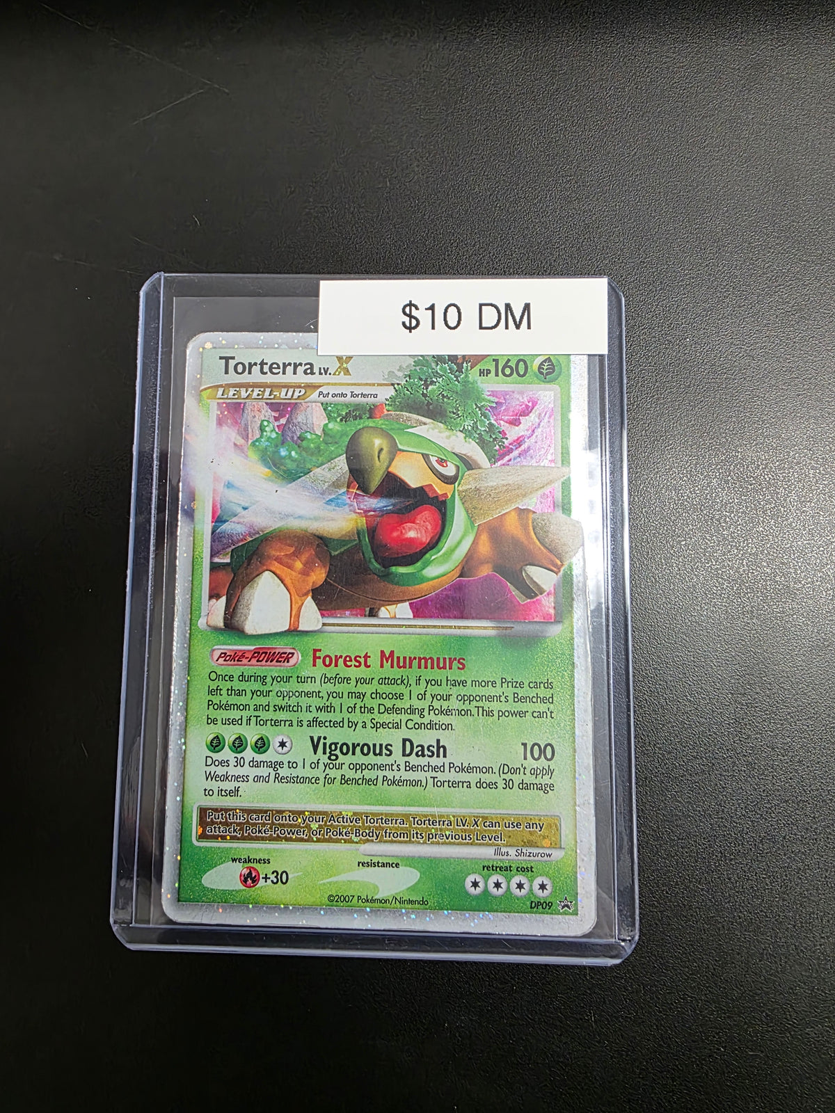 Pokemon Toterra LV X DP09 DM