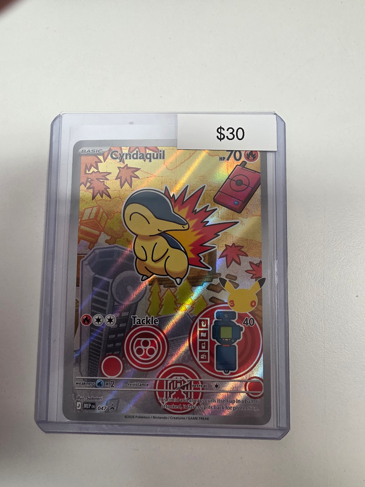 Pokemon Cyndaquil 047