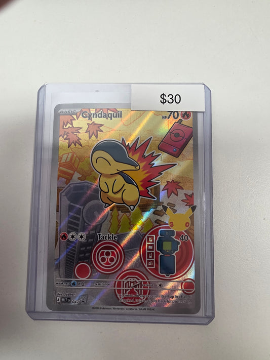 Pokemon Cyndaquil 047