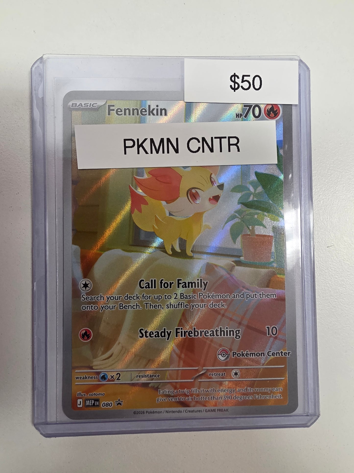 Pokemon Fennekin Pokemon Center 080