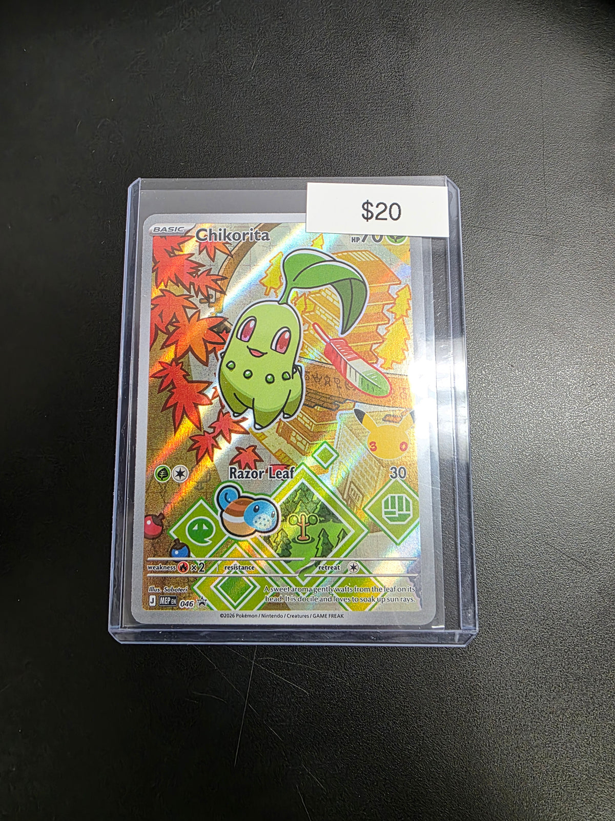 Pokemon Chikorita 046