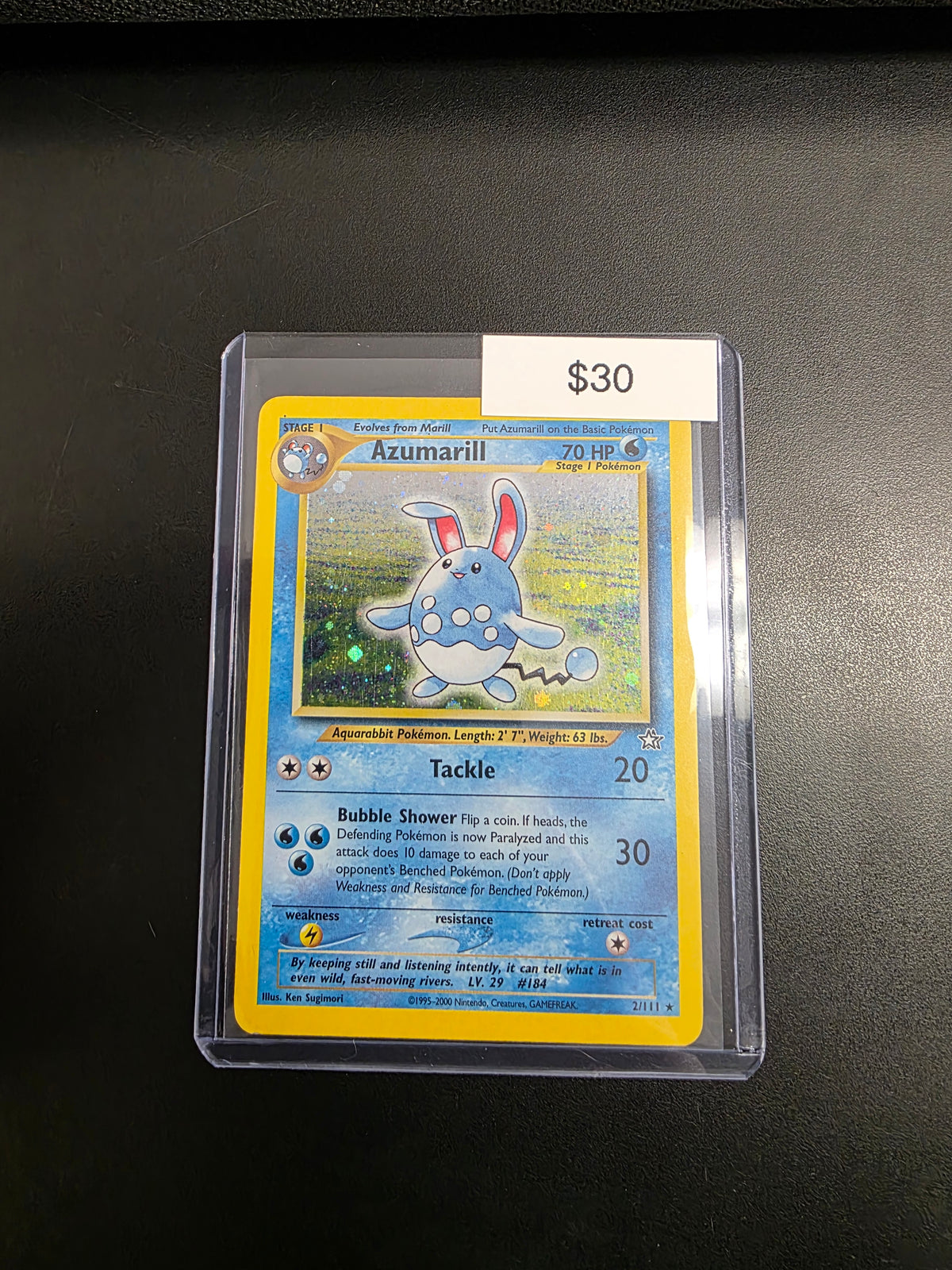 Pokemon Azumaril 2/111
