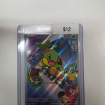 Pokemon Turtwig 040