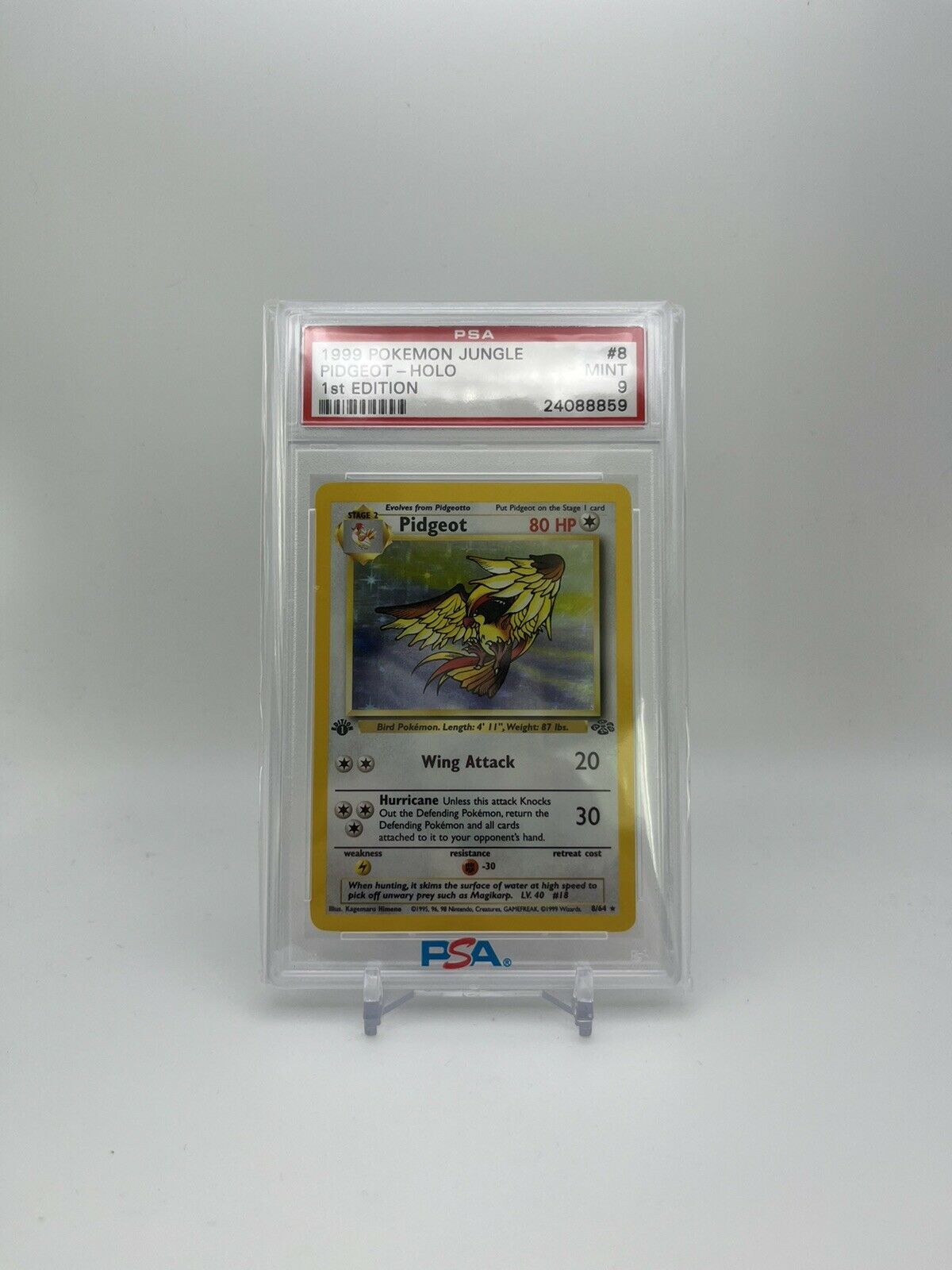 PSA 9 1st Edition Pidgeot Holo Rare Jungle Set 1999 Pokemon Card 8/64