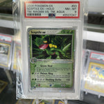 2004 Pokemon Sceptile EX Holo Team Magma VS Team Aqua PSA 8 *FREE NEXT DAY AIR*