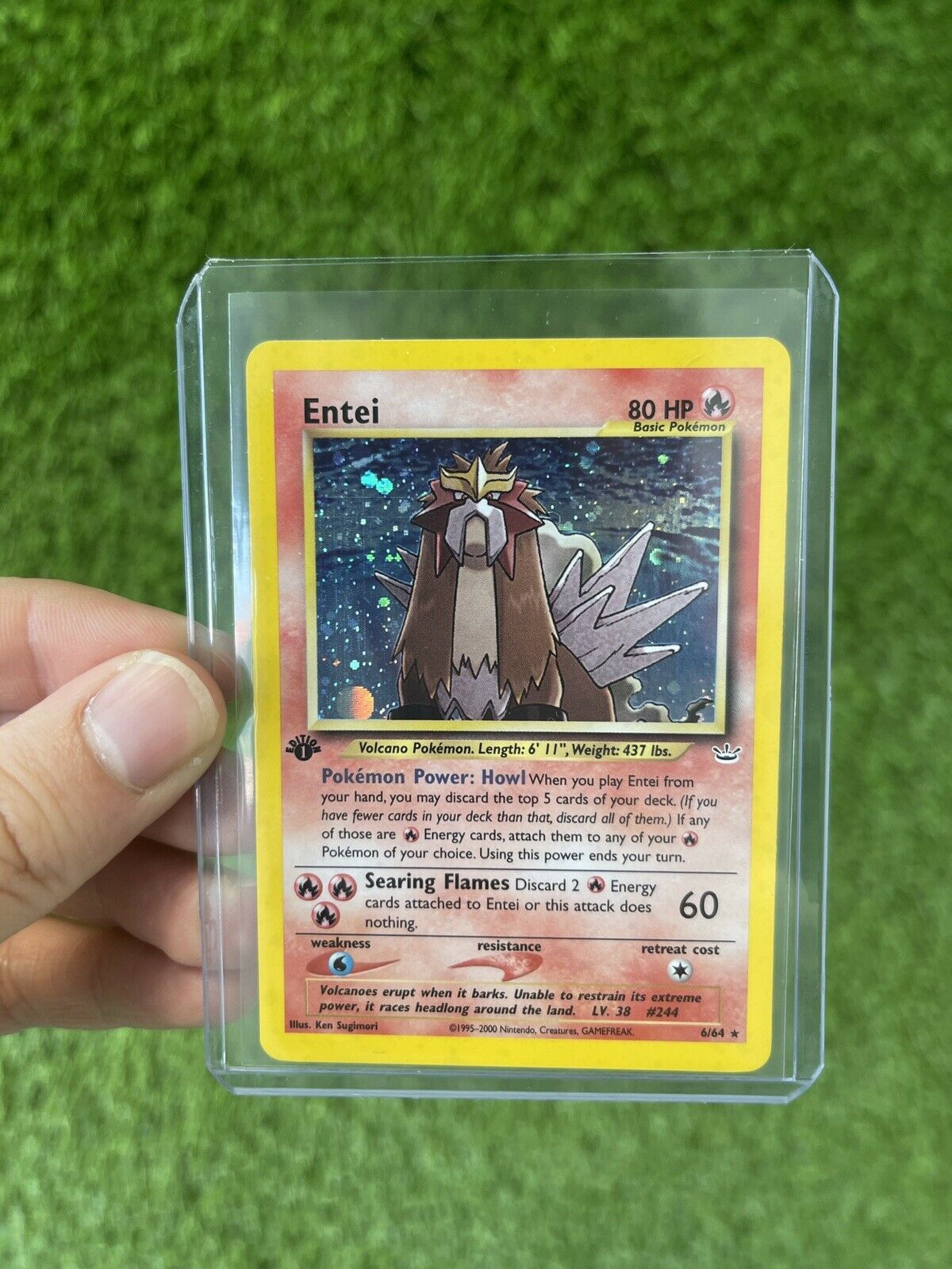 Pokemon Neo Revelation Entei Holo 1st Edition 6/64 NM GEM MT! FREE NEXT DAY AIR